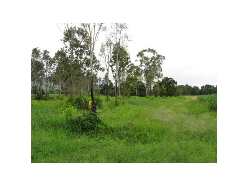 1 Dingo Beach Road, Gregory River QLD 4800