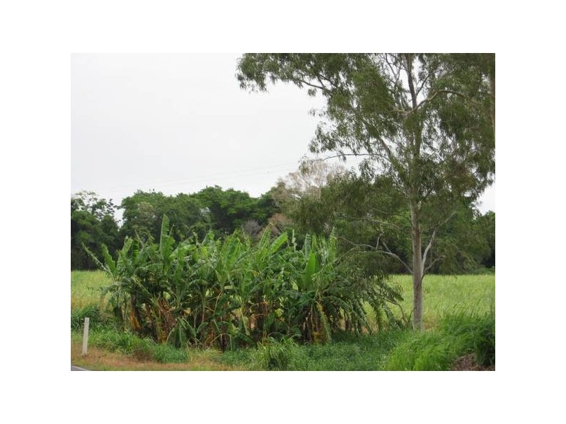 1 Dingo Beach Road, Gregory River QLD 4800