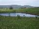 Whitsunday Drive, Bloomsbury QLD 4799