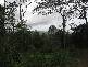5 Bluebird Drive, Proserpine QLD 4800