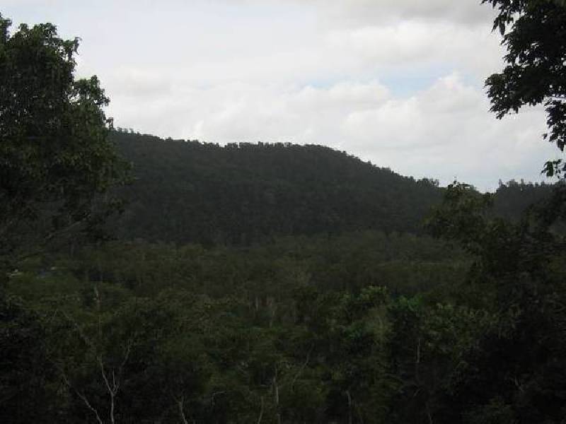 5 Bluebird Drive, Proserpine QLD 4800