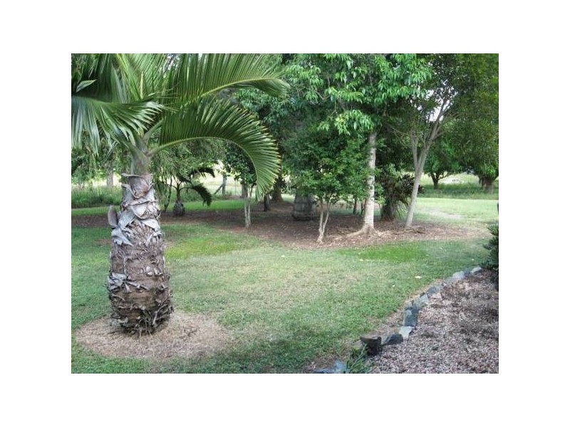 71 Moranino Road, Proserpine QLD 4800