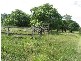 71 Moranino Road, Proserpine QLD 4800