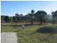 7 Jonquill Court, Cannonvale QLD 4802