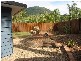 36 Stewart Drive, Airlie Beach QLD 4802