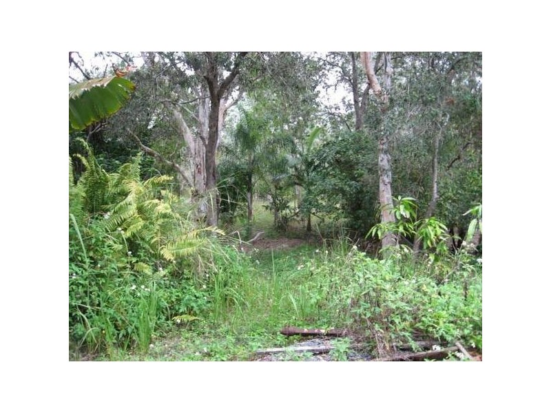 160 Whitsunday Drive, Bloomsbury QLD 4799