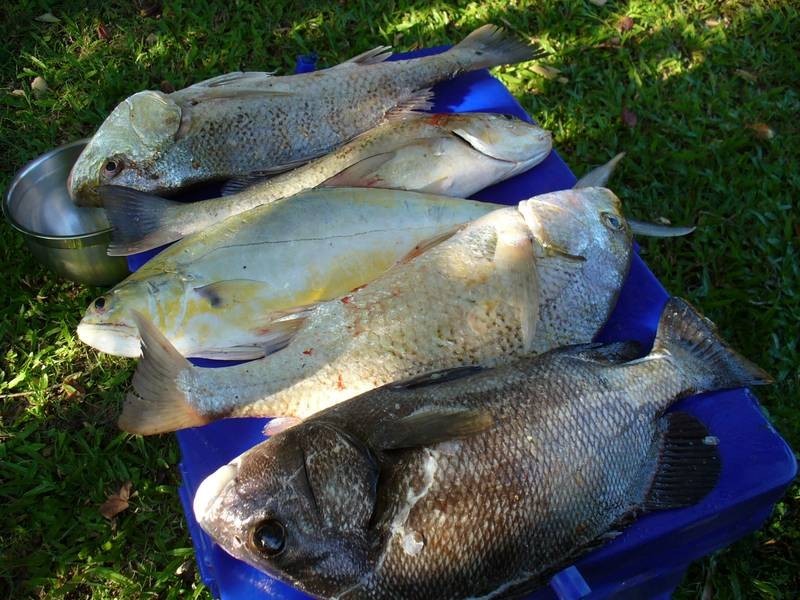 12 Patterson Street, Midge Point QLD 4799