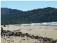 15 Penhallurick Drive, Conway Beach QLD 4800