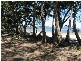 15 Penhallurick Drive, Conway Beach QLD 4800