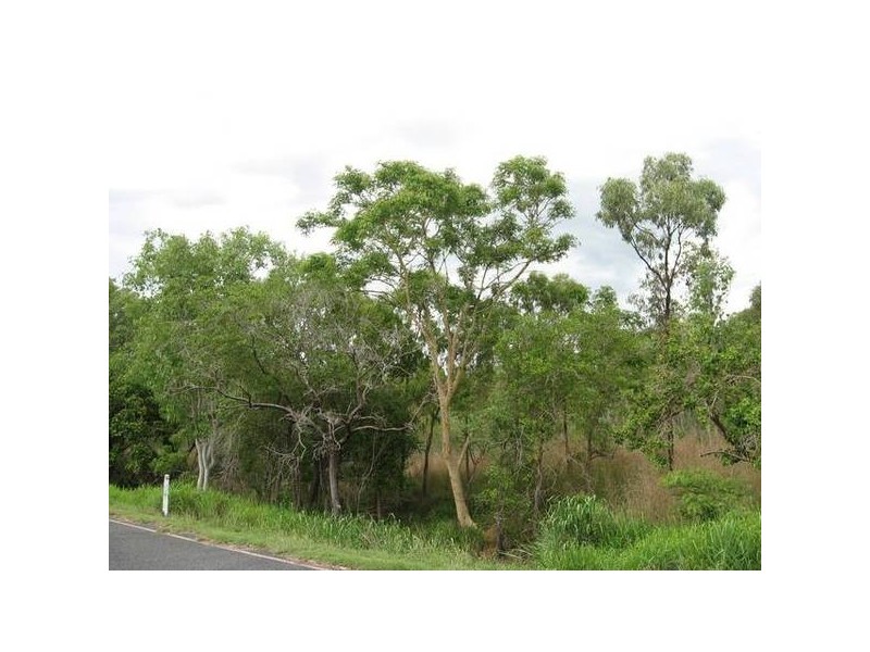 Lot 5 Bruce Highway, Bloomsbury QLD 4799