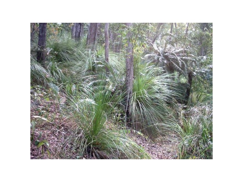 776 Conway Road, Conway QLD 4800