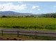 51 Brandy Creek Road, Cannonvale QLD 4802