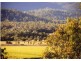 51 Brandy Creek Road, Cannonvale QLD 4802