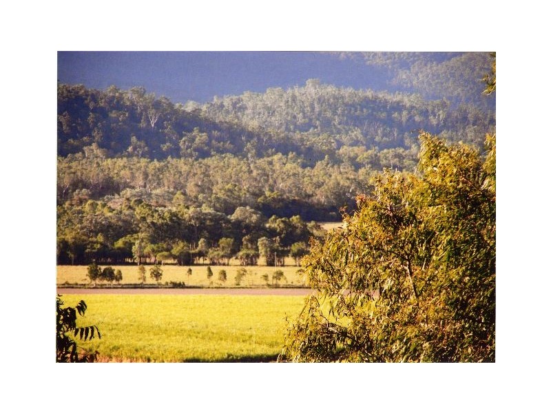 51 Brandy Creek Road, Cannonvale QLD 4802
