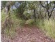 51 Brandy Creek Road, Cannonvale QLD 4802