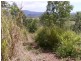 51 Brandy Creek Road, Cannonvale QLD 4802