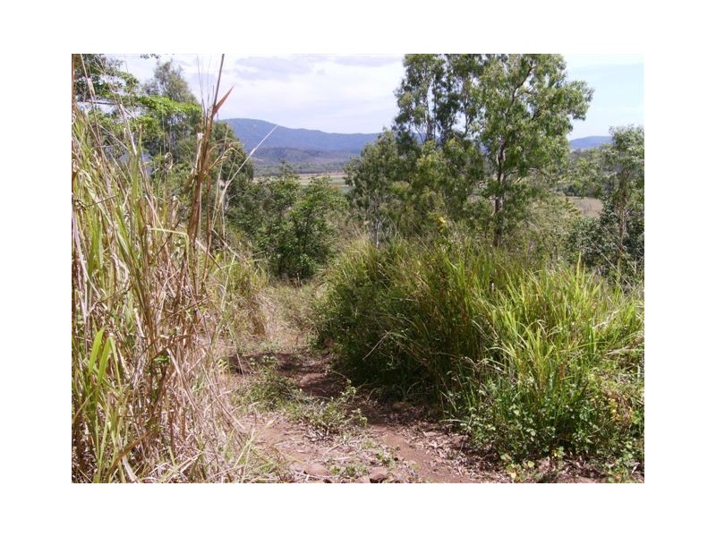 51 Brandy Creek Road, Cannonvale QLD 4802