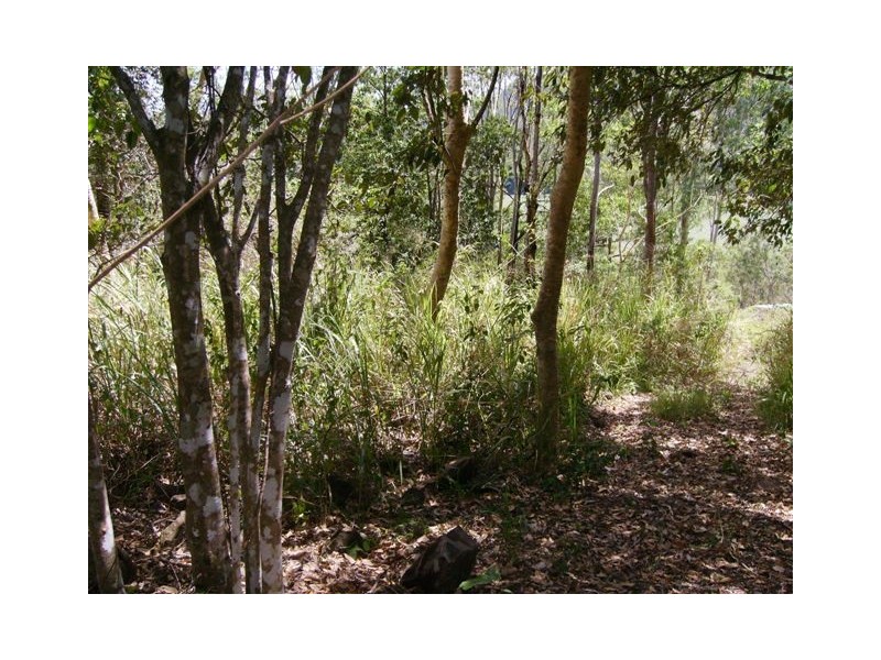 51 Brandy Creek Road, Cannonvale QLD 4802