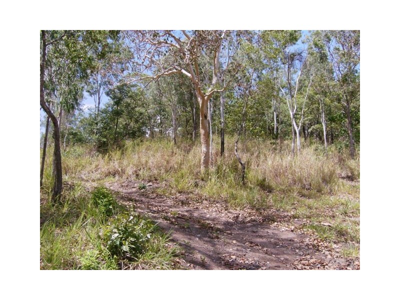 51 Brandy Creek Road, Cannonvale QLD 4802
