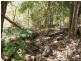 51 Brandy Creek Road, Cannonvale QLD 4802