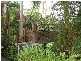 111 Campbells Road, Bloomsbury QLD 4799