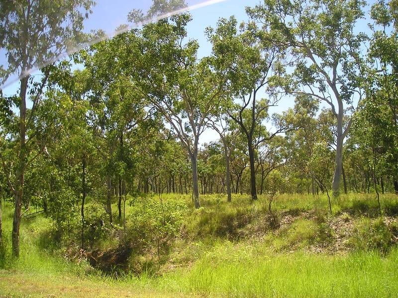 14 O’ Flynn Cr, Midge Point QLD 4799