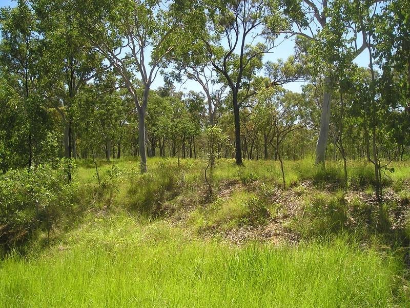 14 O’ Flynn Cr, Midge Point QLD 4799