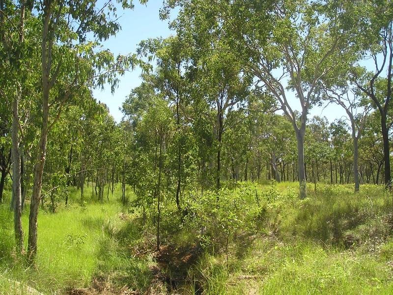 14 O’ Flynn Cr, Midge Point QLD 4799