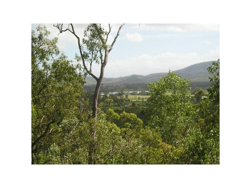 Lelona Drive, Bloomsbury QLD 4799