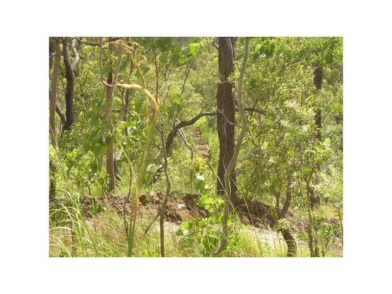 Lelona Drive, Bloomsbury QLD 4799