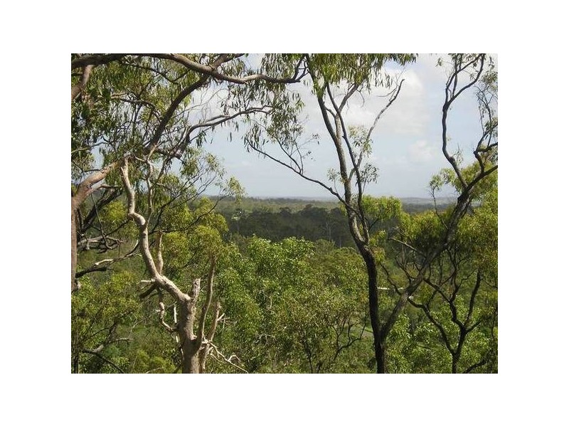 Lelona Drive, Bloomsbury QLD 4799