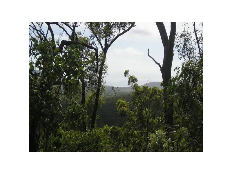 Lelona Drive, Bloomsbury QLD 4799