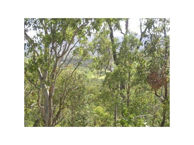 Lelona Drive, Bloomsbury QLD 4799