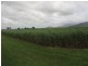Lot 1 Bruce Highway, Proserpine QLD 4800