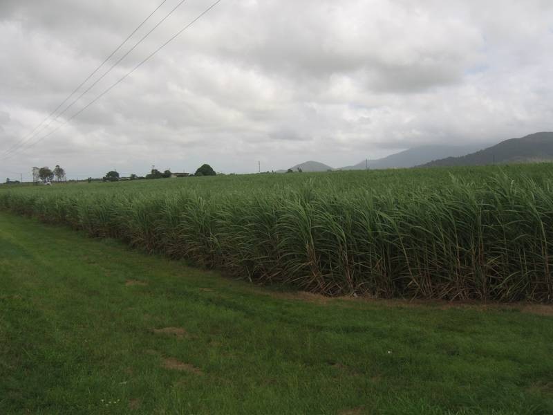 Lot 1 Bruce Highway, Proserpine QLD 4800
