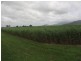 Lot 4 Bruce Highway, Proserpine QLD 4800