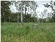 Station Road, Proserpine QLD 4800