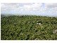 184 Camille Drive, Strathdickie QLD 4800