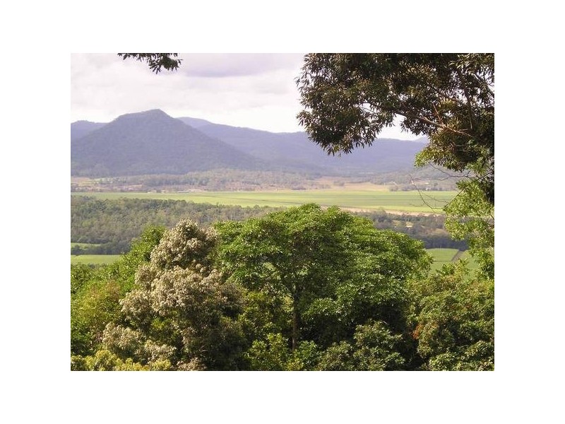 184 Camille Drive, Strathdickie QLD 4800