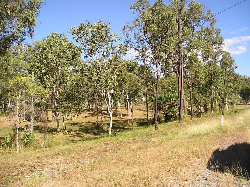 14 O’flynn Crs, Midge Point QLD 4799