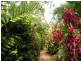 Lot 41 Lelona Drive, Midge Point QLD 4799