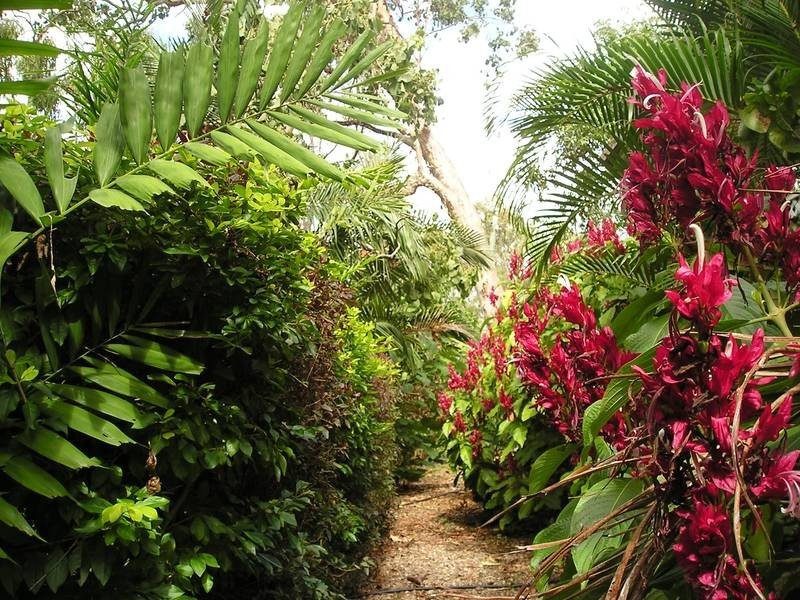 Lot 41 Lelona Drive, Midge Point QLD 4799