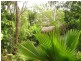 Lot 41 Lelona Drive, Midge Point QLD 4799