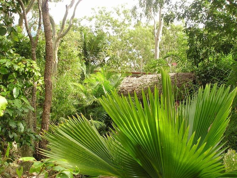 Lot 41 Lelona Drive, Midge Point QLD 4799