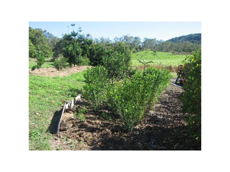 50 Bennett Road, Proserpine QLD 4800