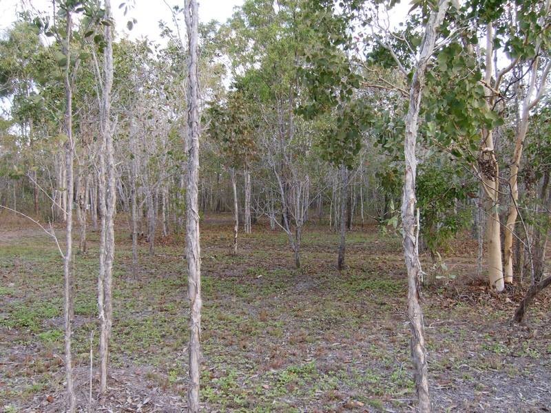 2 / 23 Midge Point Road, Midge Point QLD 4799