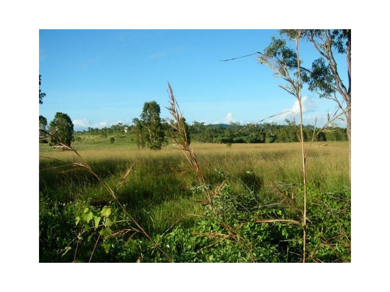 520 Whitsunday Drive, Midge Point QLD 4799