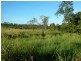 520 Whitsunday Drive, Midge Point QLD 4799