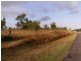 515 Whitsunday Drive, Midge Point QLD 4799