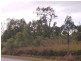 515 Whitsunday Drive, Midge Point QLD 4799